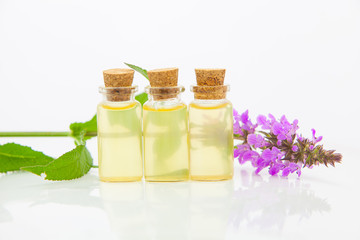 marsh woundwort essential oil in  beautiful bottle on White background