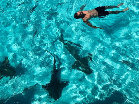 Mann badet in tropischem Wasser mit Haien