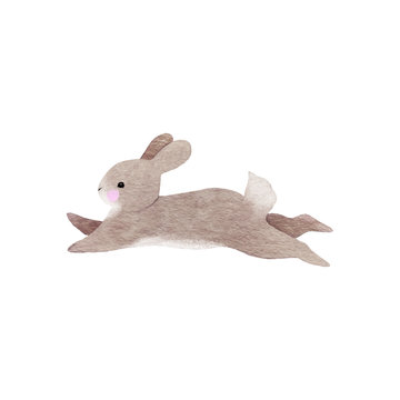 Watercolor animal