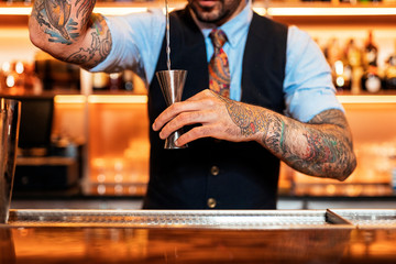 Professional young bartender working