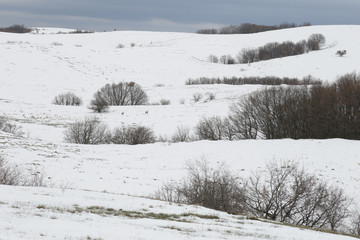 Crimean landscape of snowy mountains with two small roe deers. Karabi plateau.