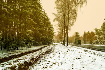 winter road through the forest, selective focus with shallow depth of field, warm filter