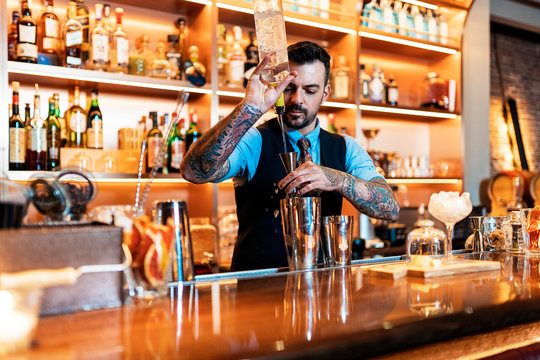 Professional young bartender working