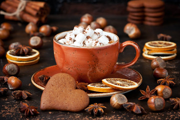 Homemade  hot chocolate in mug   with marshmallow