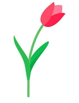 Tulip vector.  Red tulip. Tulips. Flat icon of tulip. 8 March. Women`s day. Vector illustration.