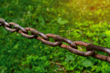 Old rusty chain hanging over green grass background