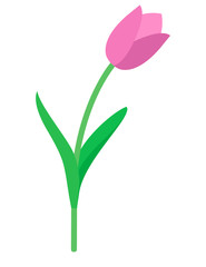 Tulip vector.  Purple tulip. Tulips. Flat icon of tulip. 8 March. Women`s day. Vector illustration.