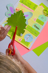 Science project on metamorphosis: first grade; cutting a leaf out of green paper
