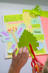 Science project on metamorphosis: first grade; cutting a leaf out of green paper	
