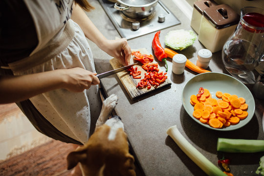 Pregnant woman preparing a meal