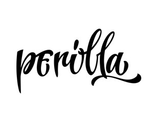 Hand drawn spice label - Perilla. Vector lettering design element. Isolated calligraphy script style word for labels, shop design, cafe decore etc