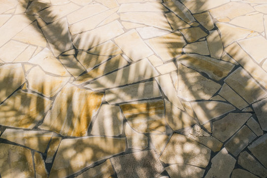 Shadow of a palm tree