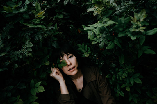 among the leaves