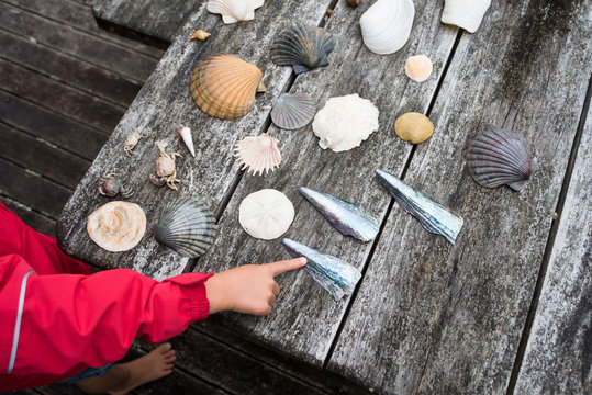 Girl and her seashell collection, New Zealand