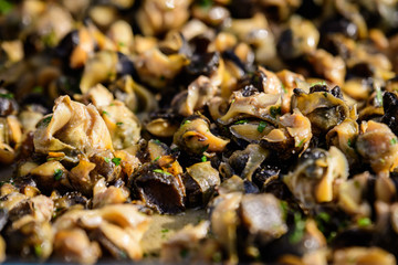Large group of freshly cooked mussels on display for sale at a street food festival, ready to eat seafood photographed with soft focus