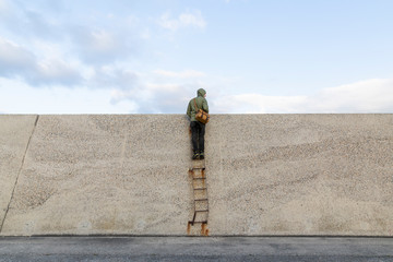 Man on a ladder looking over the wall