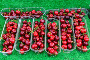 Large group fresh organic cherries available for sale at a street food market, natural red  background with soft focus