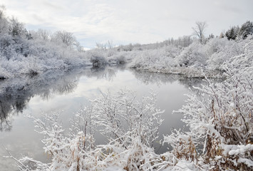 Winter landscape with lake and trees