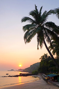 A tropical bay with a calm sea and palm trees glowing red in the setting sun, Vainguinim beach, Panjim, Goa, India