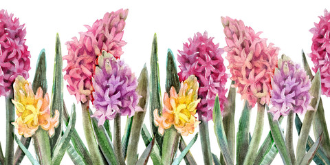 watercolor illustration - seamless linear pattern of pink and purple and yellow hyacinths