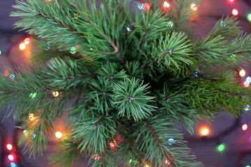 pine branches and electric garland, top view