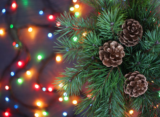 festive Christmas background with pine branches