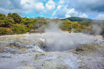 White steam is coming out of a hole at Wai-O-Tapu Thermal Wonderland near Rotorua, North Island, New Zealand