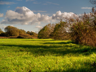 Empty green field, Sunny day, Concept summer. Nobody. Nature landscape.