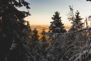 schnbedeckte Bäume mit Sonnenuntergang