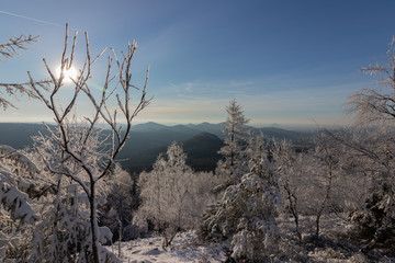 Wanderweg Tannenberg, jedlová, verschneite Bäume