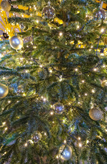 Obraz na płótnie Canvas Christmas fir tree branches traditionally decorated in yellow and golden color