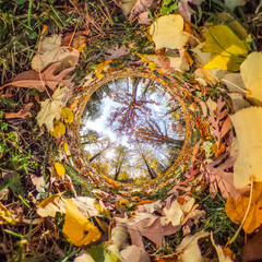An inverted tiny world with Autumn colors