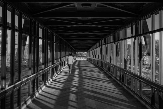 woman in red jacket walking in pedestrian pathway above highway, golden light shining creating shadows. Black and white.
