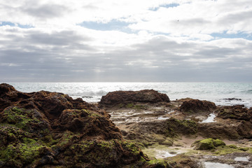 Fototapeta na wymiar Rocky ocean shore covered with moss. Fuerteventura, Canary Islands. Selective focus. 