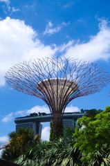 Fototapeta premium Gardens by the Bay mit Super Trees und Skywalk