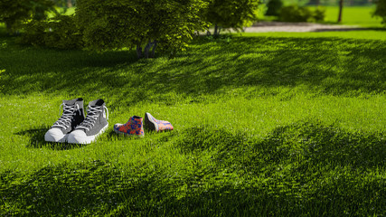 Obraz na płótnie Canvas Shoes on Grass in Nature, Eco Concept, 3D Rendering