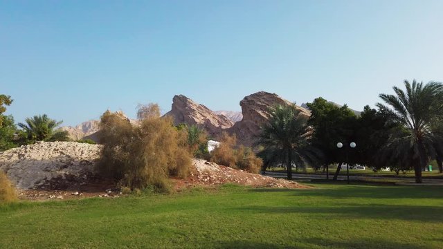 Beautiful sunny garden with small rock hill and palm trees in Dubai Jabel Hafeet Al Alin
