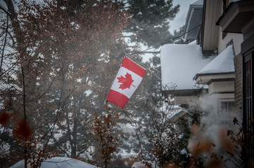 The Canadian flag in the winter