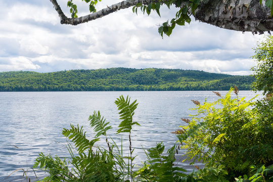 scenic view over the mountains and the lake through the fern and trees in the foreground, Canada