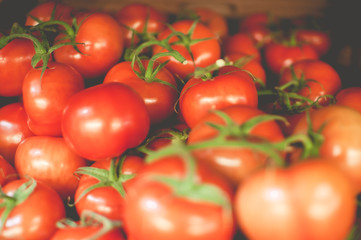 Organic tomatoes for sale in a small market