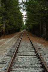 Fototapeta premium Railway in the Forest
