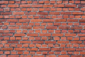 Fototapeta premium red brick wall background