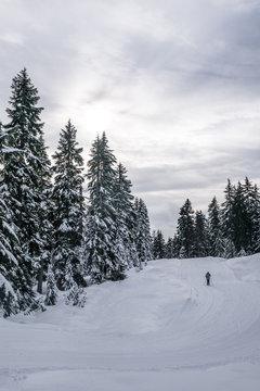 view over snow covered forest, snowshoeing adventure in canada vancouver