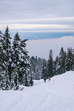 view from the peak over the mountains snow covered, snowshoeing adventure in canada vancouver
