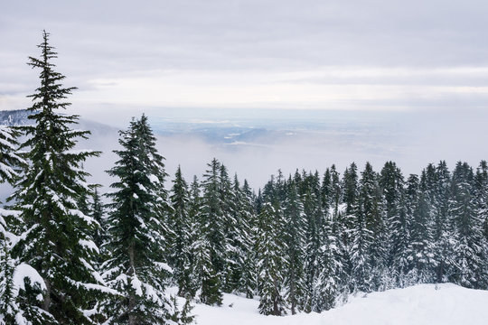 view over the mountains snow covered, snowshoeing adventure in canada vancouver
