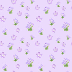 Seamless pattern of watercolor geranium flowers. Perfect for web design, cosmetics design, package, textile, wedding invitation, logo