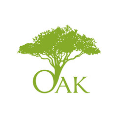 Fototapeta premium Green Creative Oak Tree Logo Design Symbol Illustration