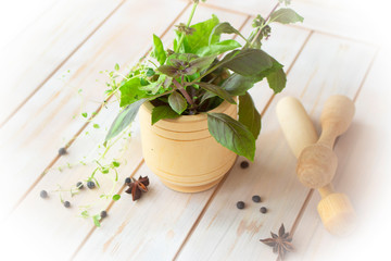 Fresh herbs and spices on vintage wooden mortar, alternative medicine concept