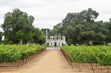 Winery in Lodi, California