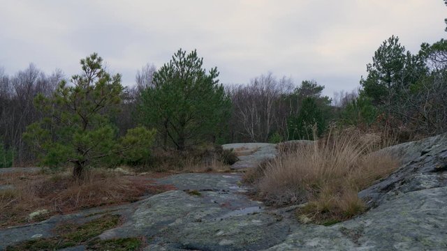 Swedish landscape with a view on stones, rocks, trees, clouds and grass